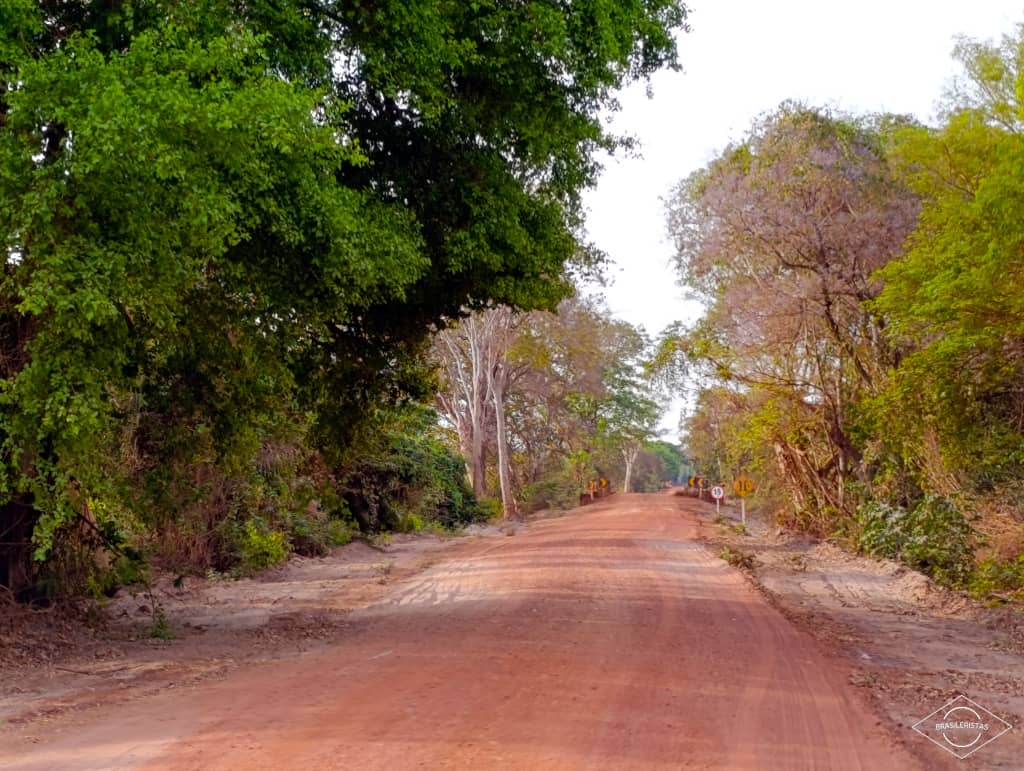 Estrada Parque Pantanal