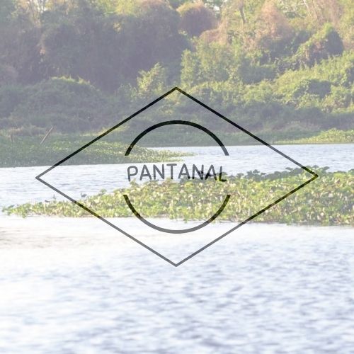 Pantanal